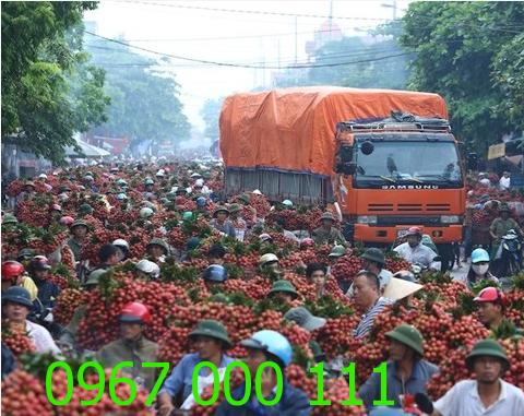 Thuê xe tải chở vải Bắc Giang-Hưng Yên-Hà Nội-Bắc Nam